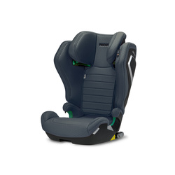 Recaro AXION 1 Gallant Grey Kindersitz